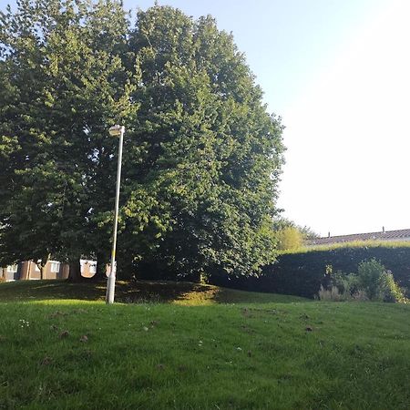 Homestay Near A Station And Park Birmingham Kültér fotó