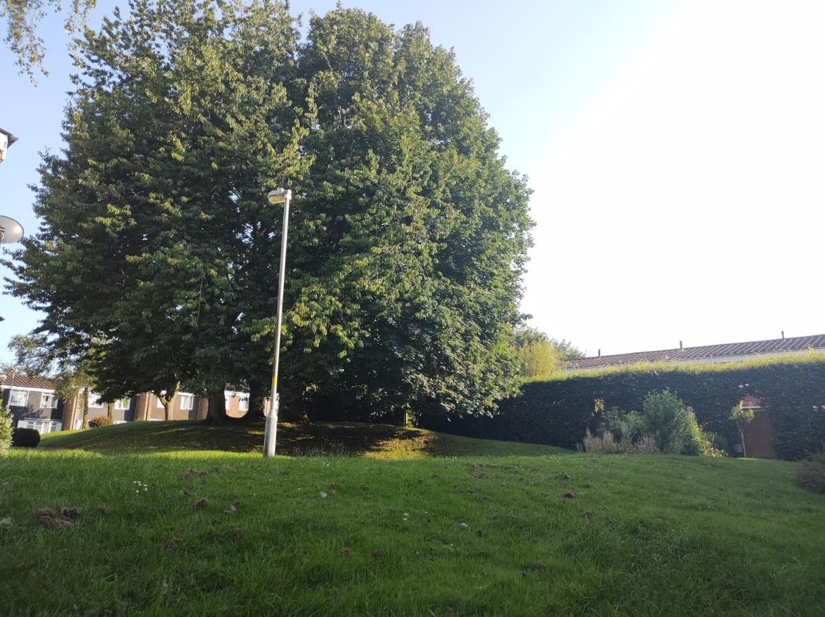 Homestay Near A Station And Park Birmingham Kültér fotó